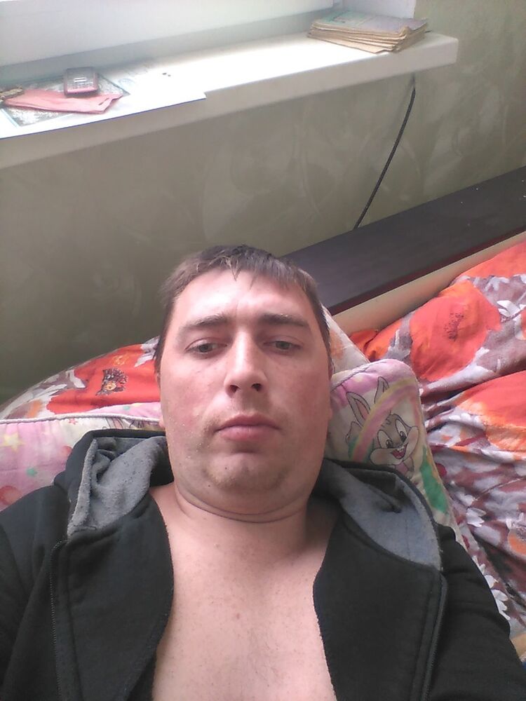  8333935  , 38 ,    