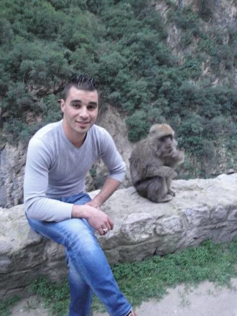 ���������� ���������, ���� ������� Houssem, 36 ���, ������������ ��� ������