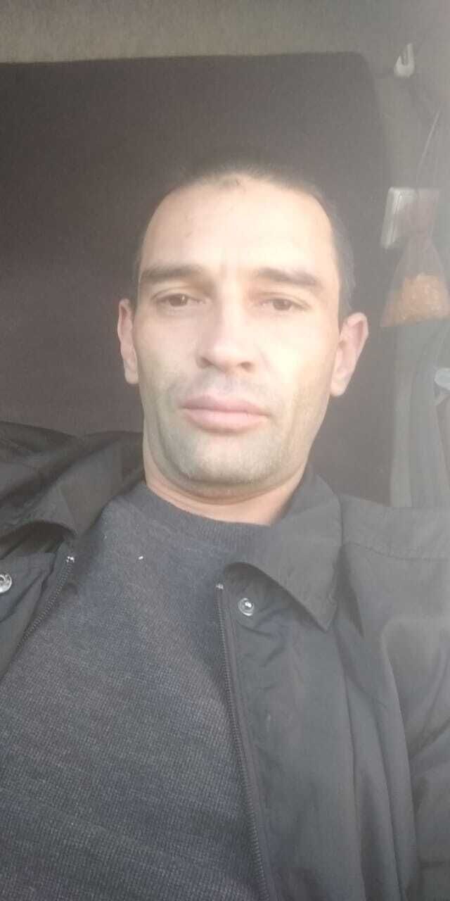  53739235  , 43 ,    