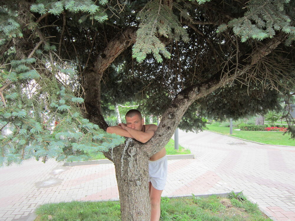 ���� 16857055 ������� �����, 42 ����, ���� ���������� � �������