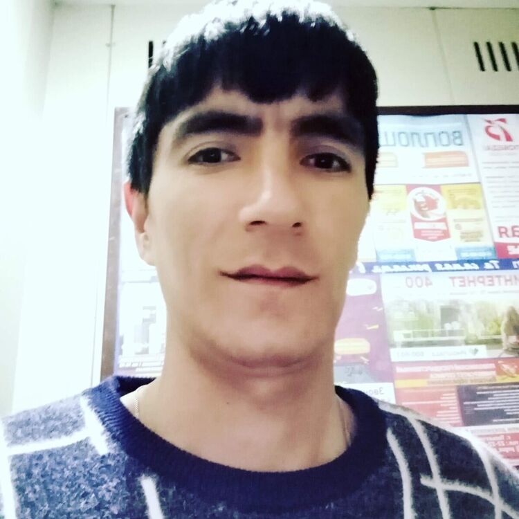  21146505  , 33 ,     