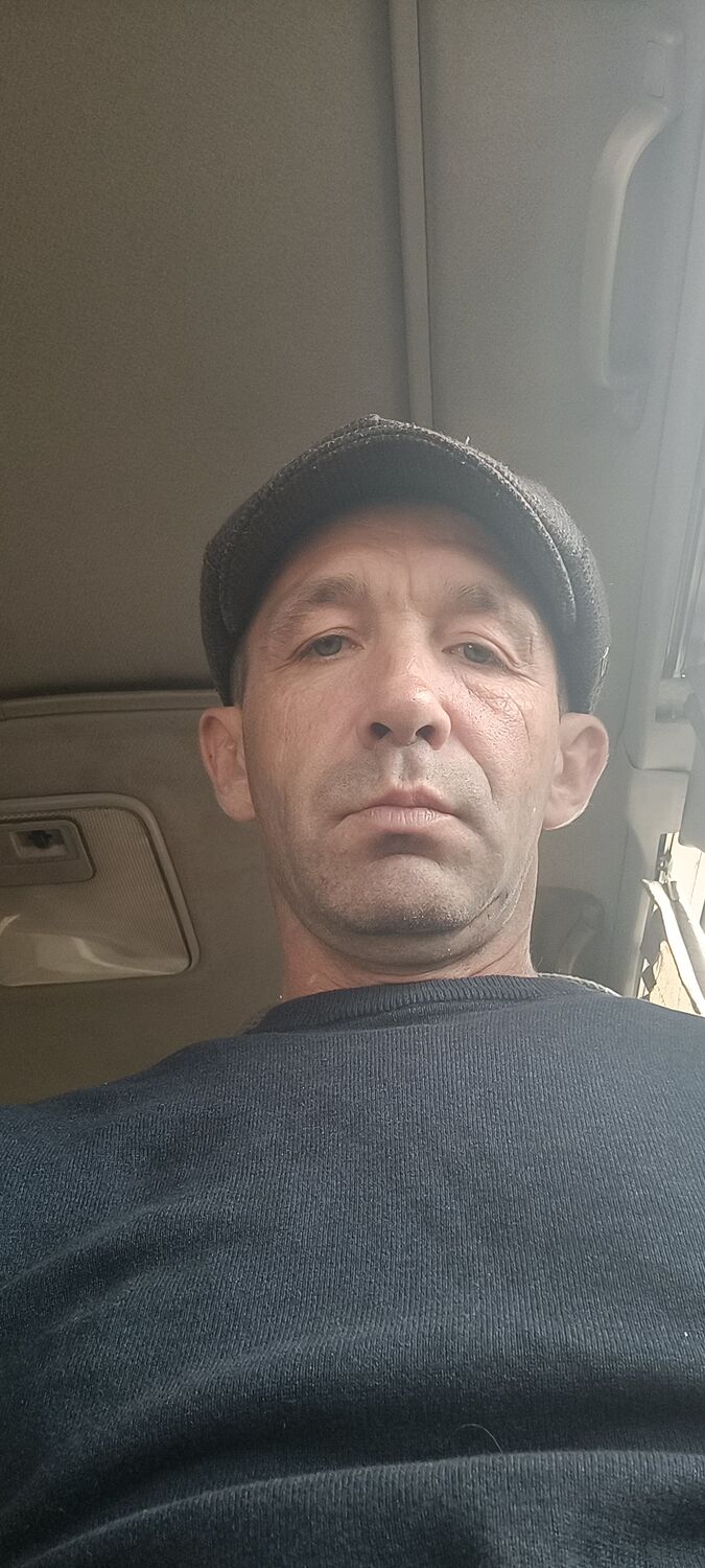  50146585  , 43 ,    -