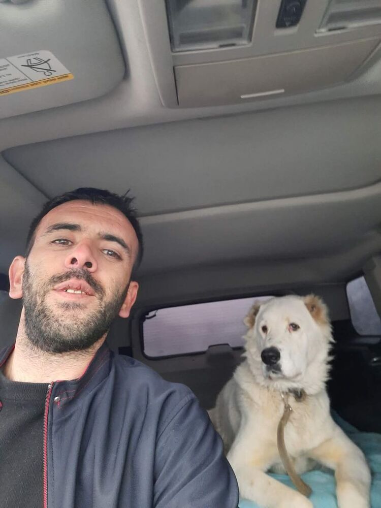  54461065  Hayk, 36 ,    