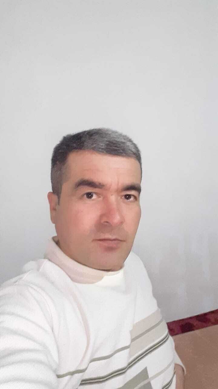  26153335  , 50 ,    