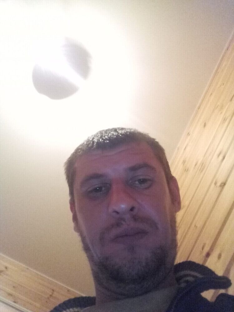  20045645  , 41 ,    -
