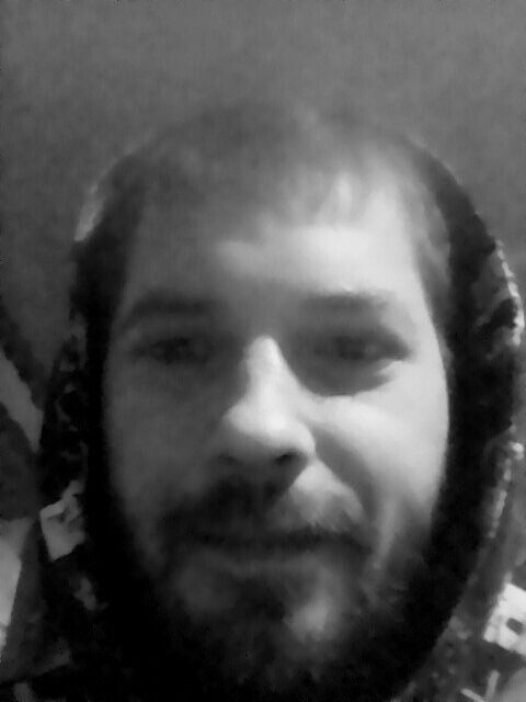  48598275  , 31 ,    