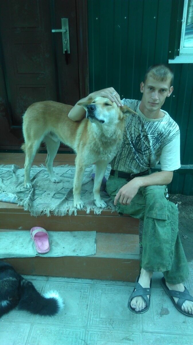 ���� 11395195 ������� �����, 33 ����, ���� ���������� � ���������