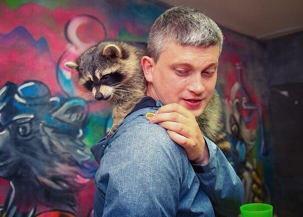 ���������� �����������, ���� ������� ������, 45 ���, ������������ ��� ������, ����� � ���������, c�������� ���������