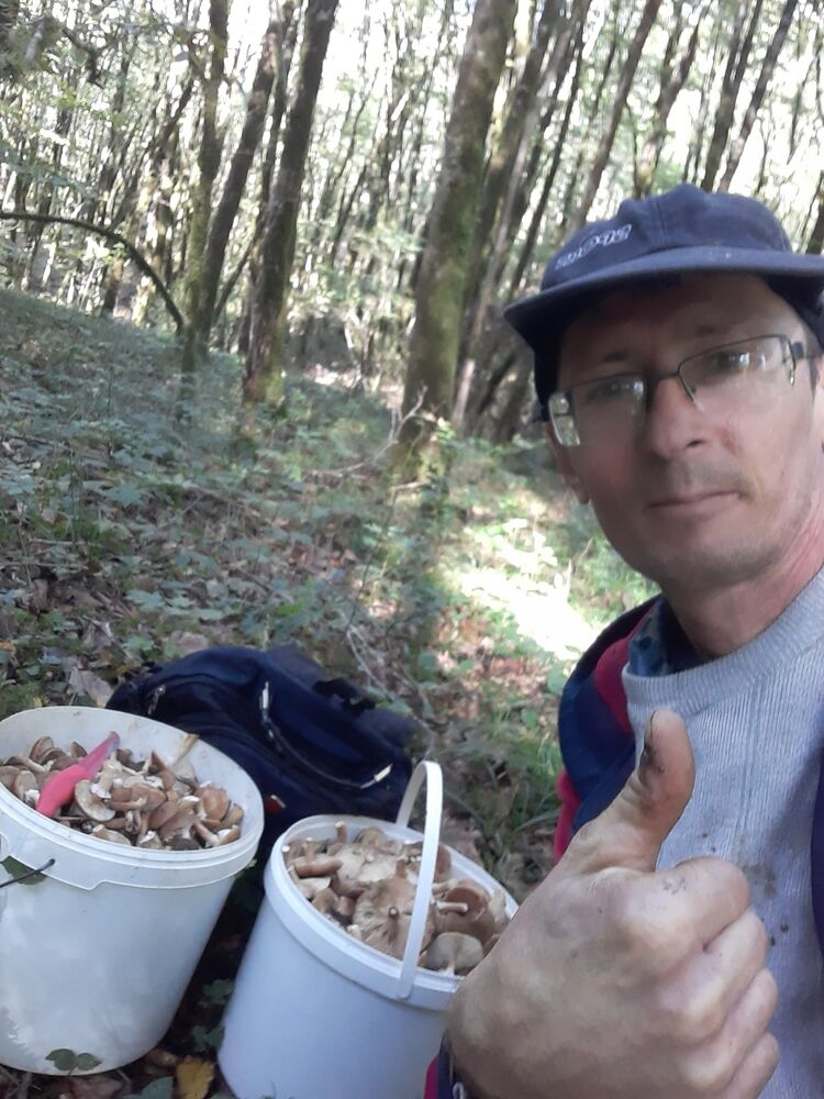  ,   , 48 ,   ,   