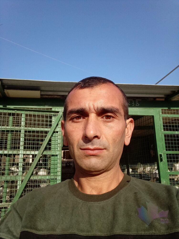  42973345  , 43 ,    