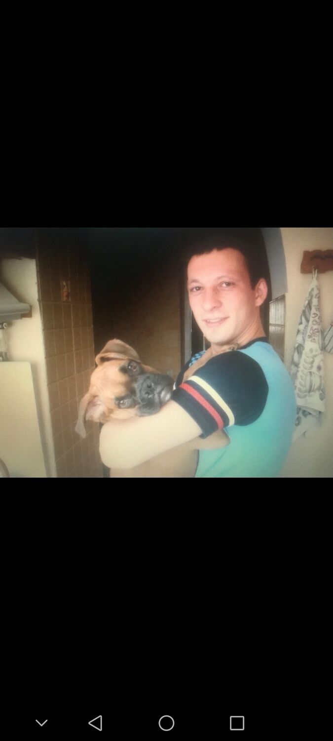 ���������� ������, ���� ������� �����, 43 ����, ������������ ��� ������, ����� � ���������, c�������� ���������