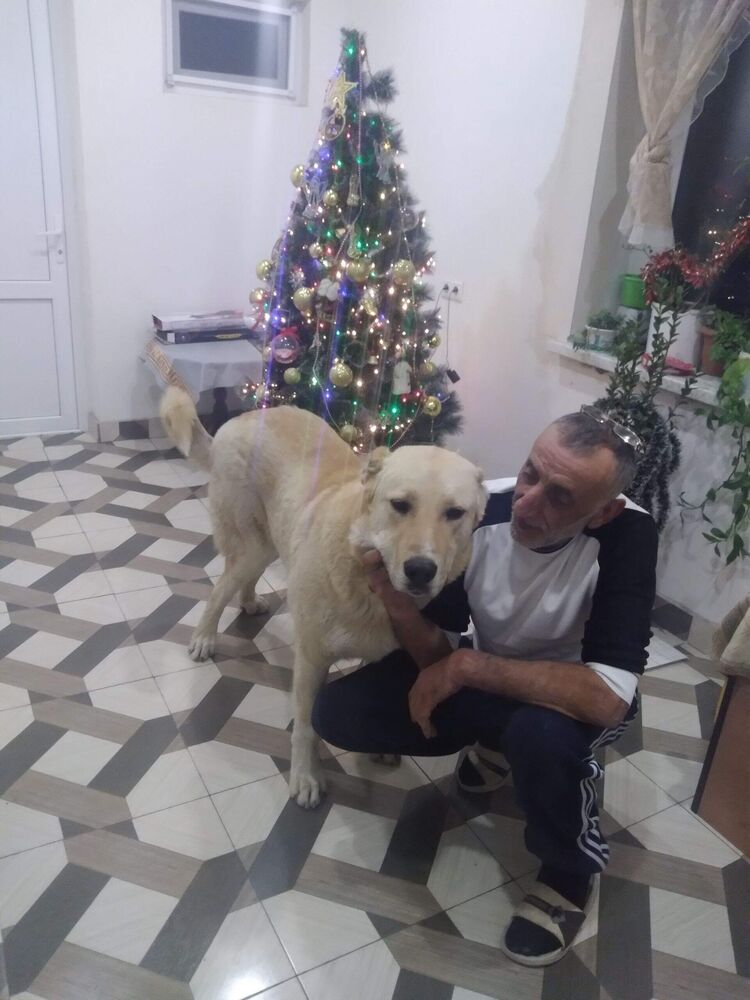  49735865  , 57 ,    Nepasice