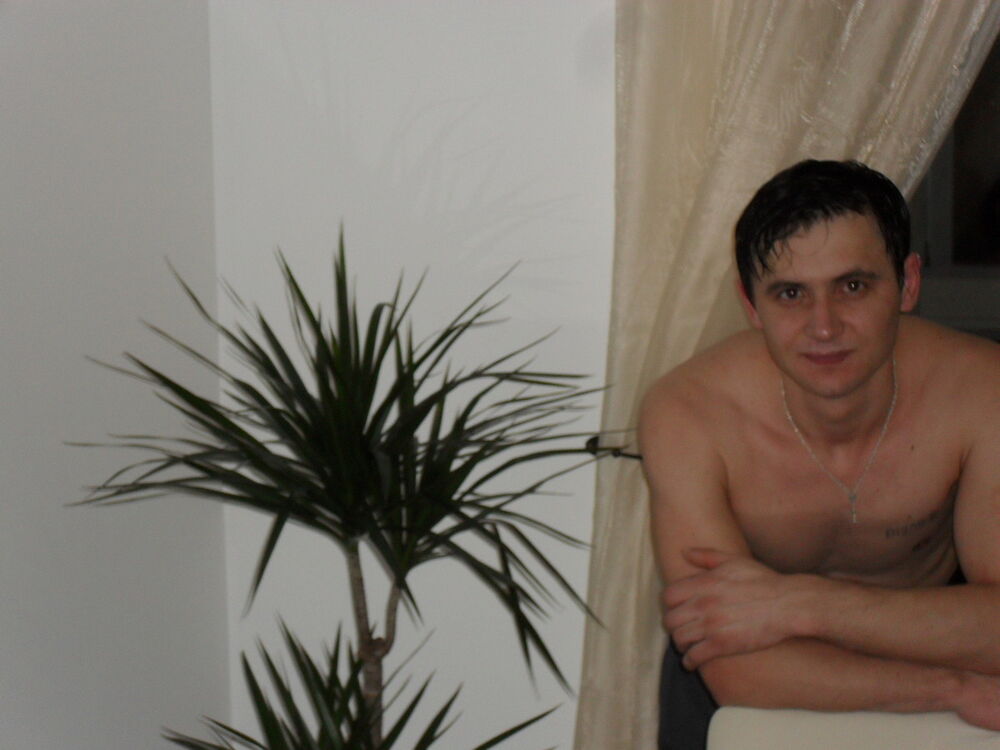  4441955  Viorel, 42 ,    