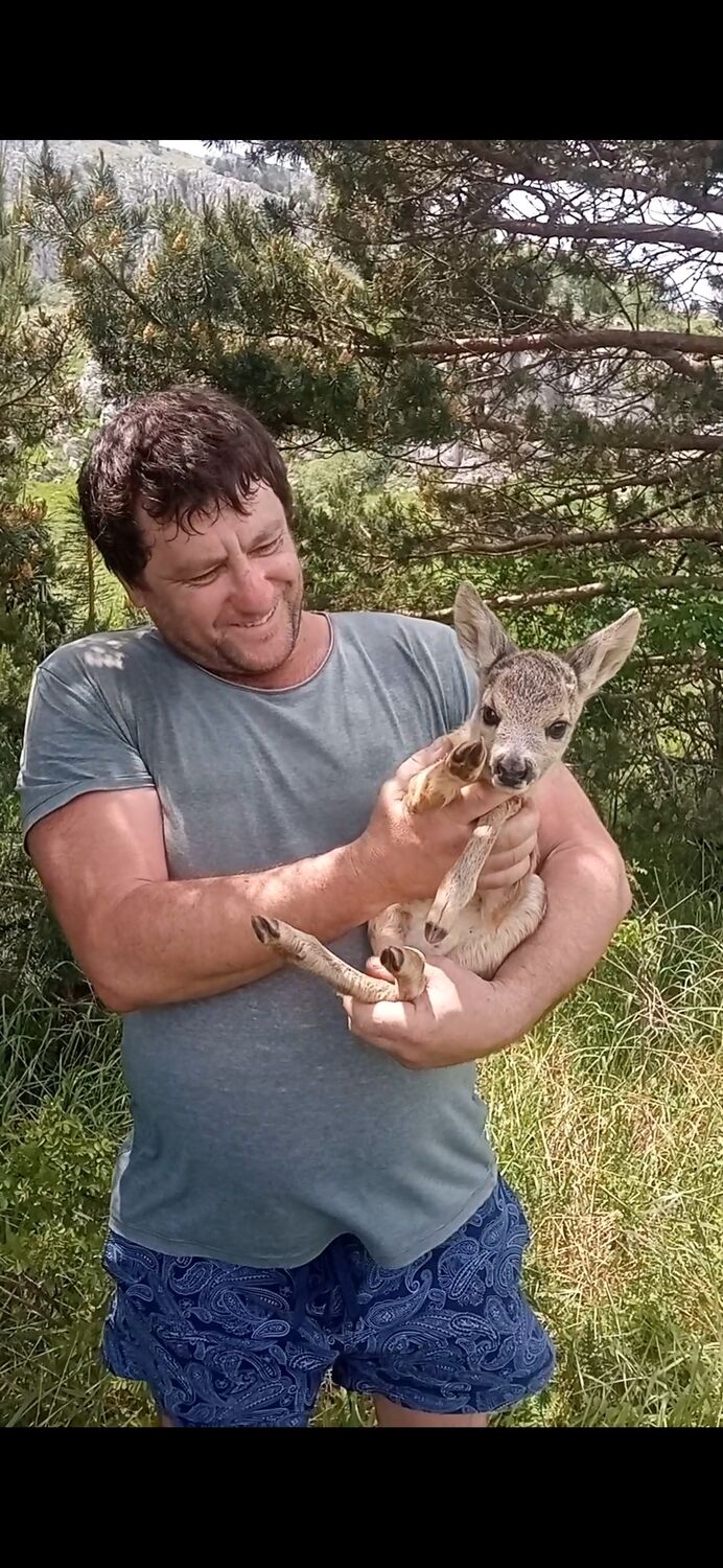 ���� 36908885 ������� �����, 41 ���, ���� ���������� � �������