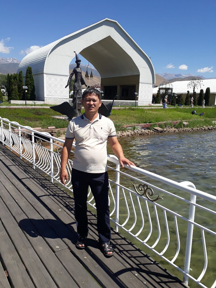  15347205  , 43 ,    -