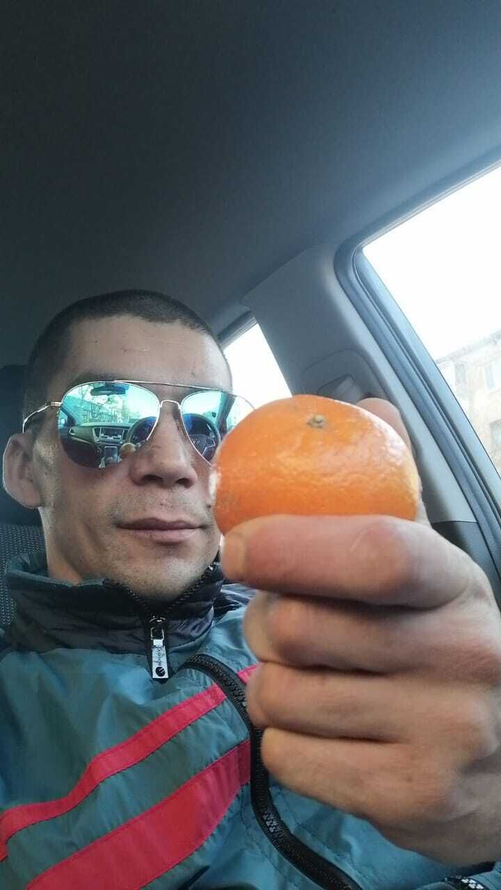  53316405  , 40 ,    