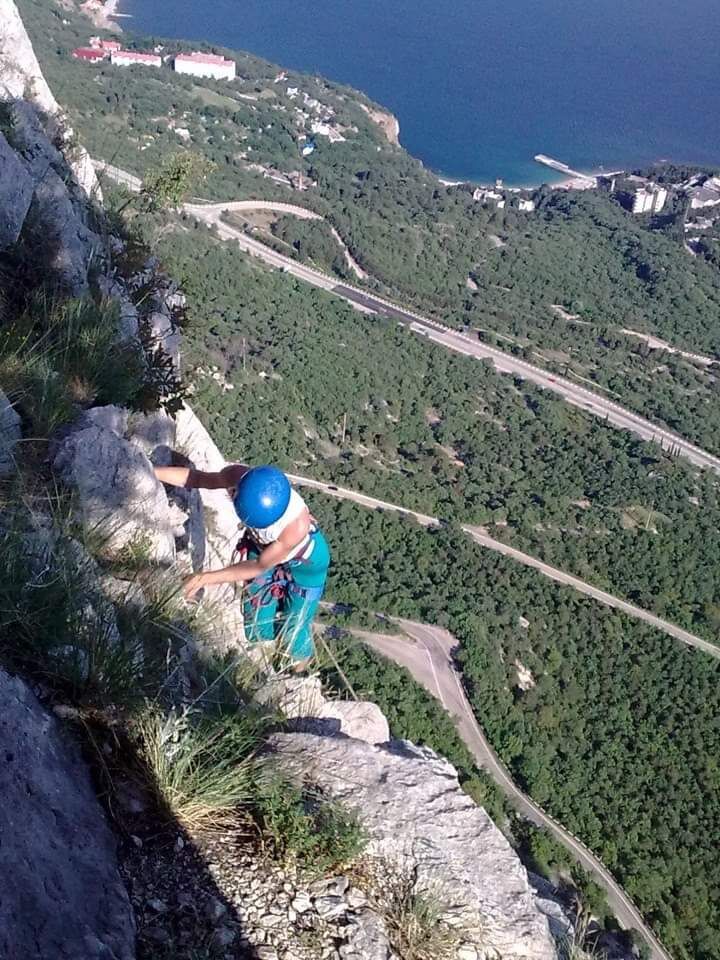 ���� 50014185 ������� ���������, 36 ���, ���� ���������� � ������