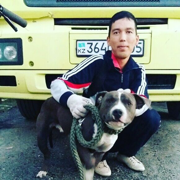 ���� 8281285 ������� �����, 40 ���, ���� ���������� � ������