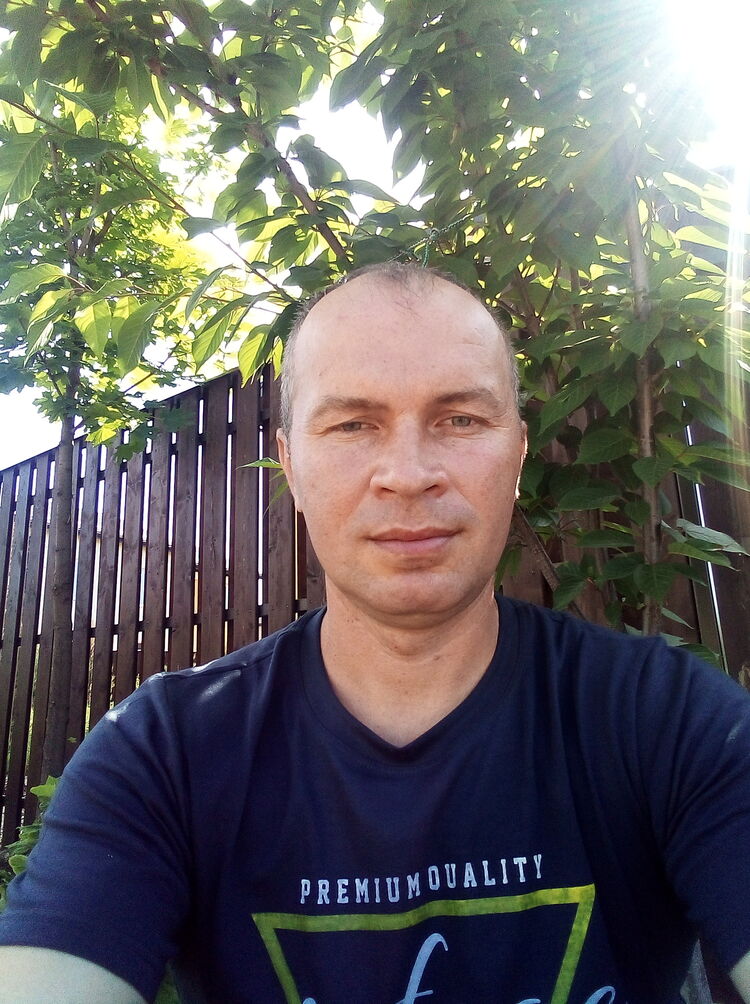  53996265  , 37 ,    
