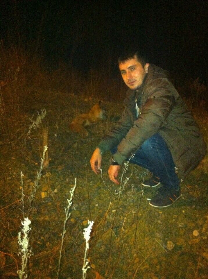 ���������� �������, ���� ������� ����, 36 ���, ������������ ��� ������, ����� � ���������, c�������� ���������