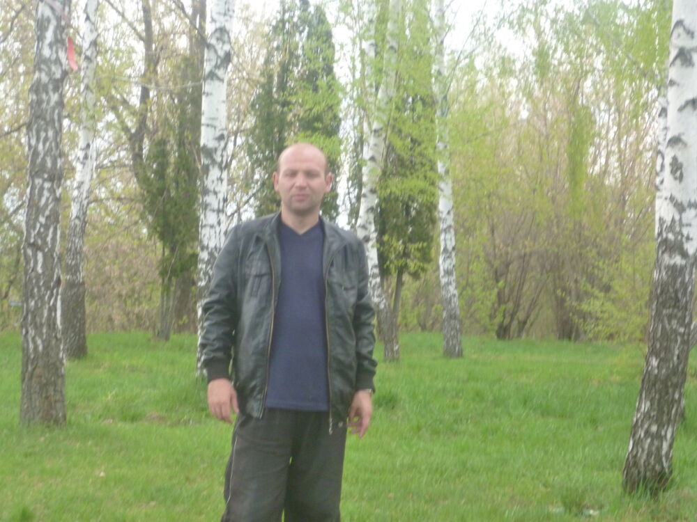  ,   Alekce, 40 ,   