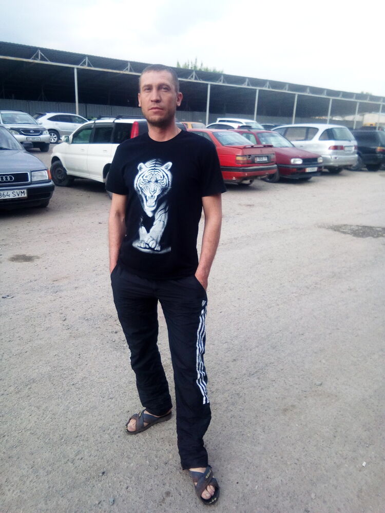 ���� 12335665 ������� �������, 36 ���, ���� ���������� � �������