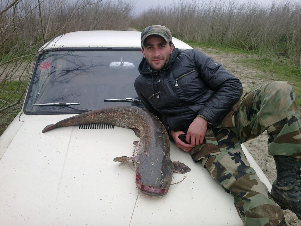 ���������� ������ ��������, ���� ������� ����, 41 ���, ������������ ��� ������, ����� � ���������, c�������� ���������