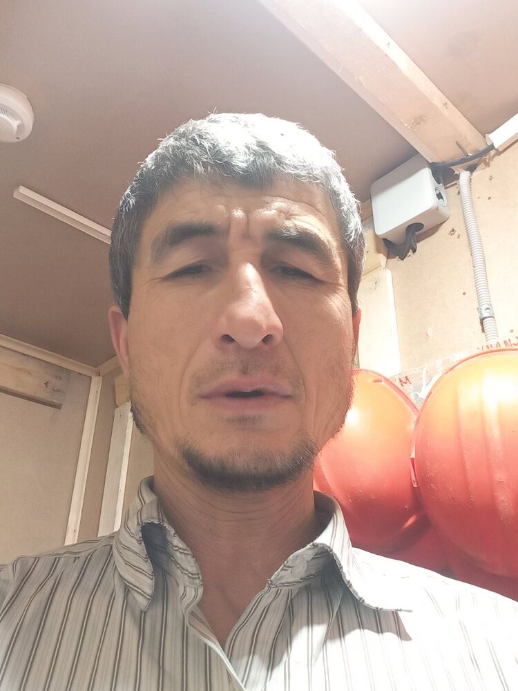 ���� 24684475 ������� ����������, 56 ���, ���� ���������� � �����-����������