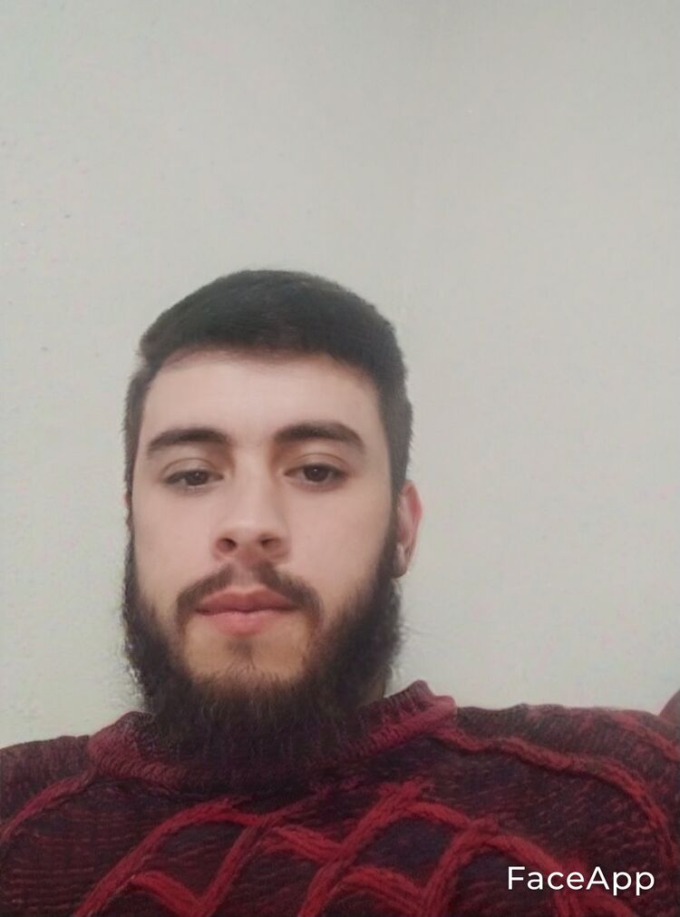  48691755  , 33 ,    -