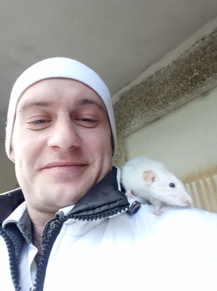 ���������� ������, ���� ������� ������, 41 ���, ������������ 