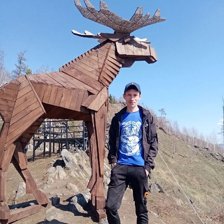  35441685  , 31 ,    