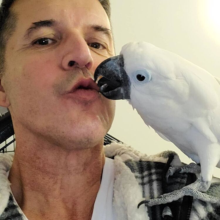  25286565  Josh, 62 ,    Kyo