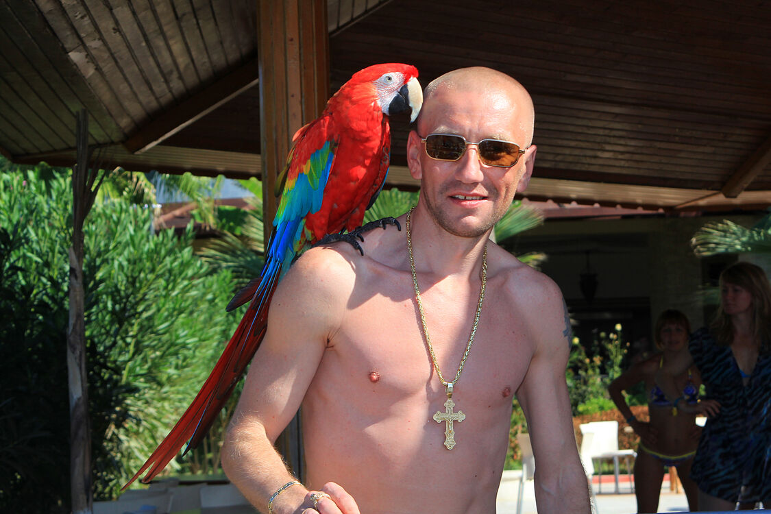 ���������� ������, ���� ������� ����, 38 ���, ������������ 