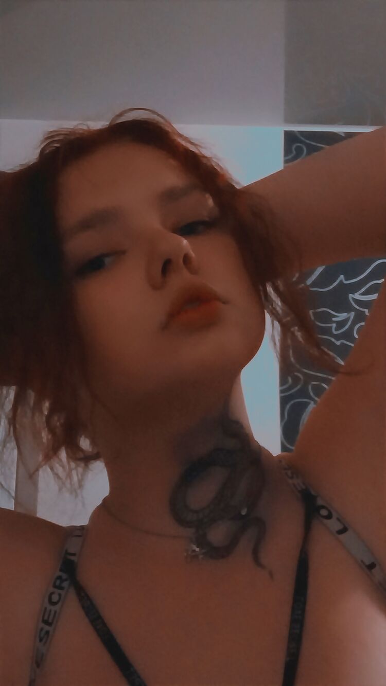  38305475  , 20 ,    
