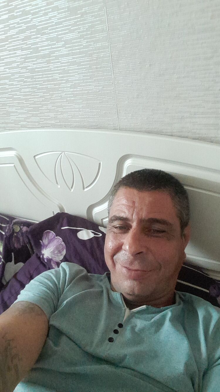  48335875  , 46 ,    