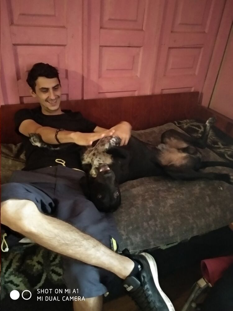 ���������� ������, ���� ������� Mishka, 30 ���, ������������ ��� ������, ����� � ���������, c�������� ���������