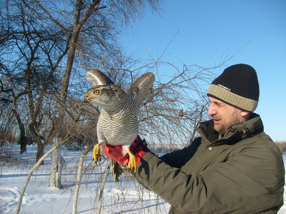 ���� 19958385 ������� ������, 61 ���, ���� ���������� � ������