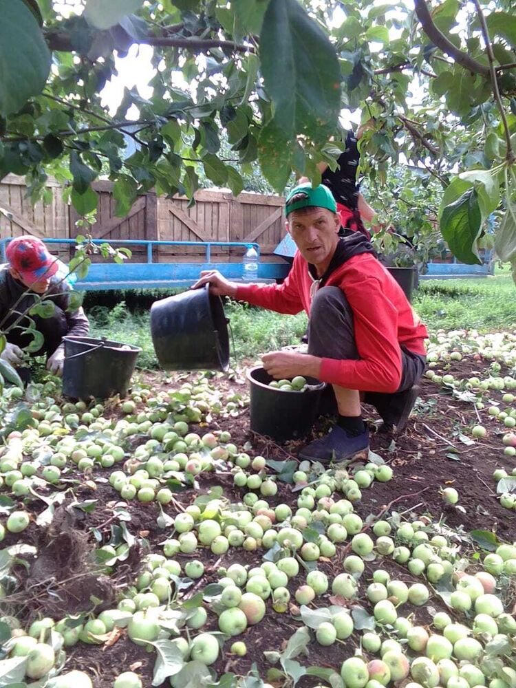 ���� 24574735 ������� ����, 45 ���, ���� ���������� � �����