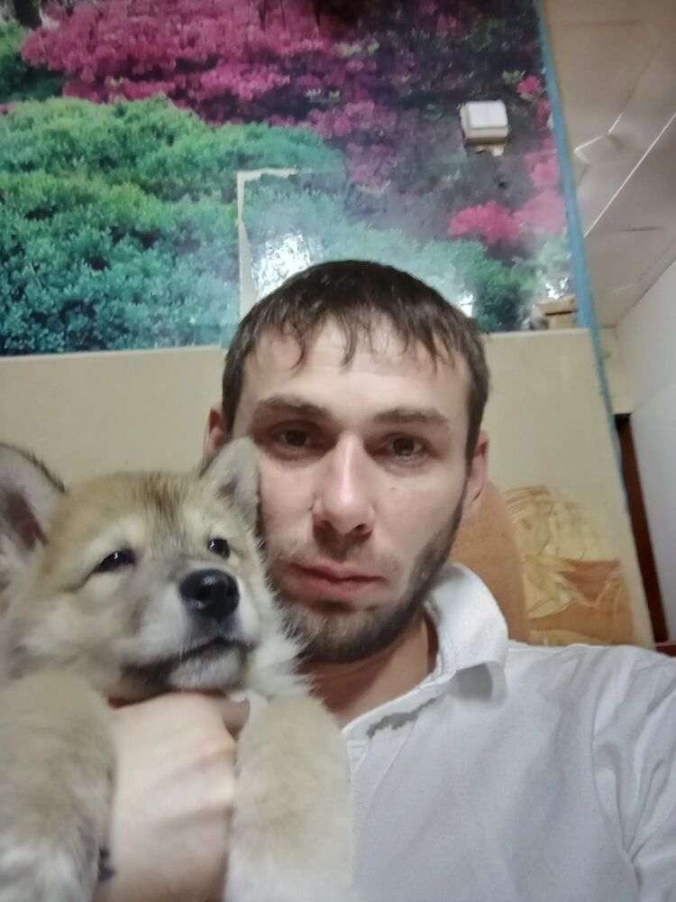  ,   , 33 ,   ,   , 