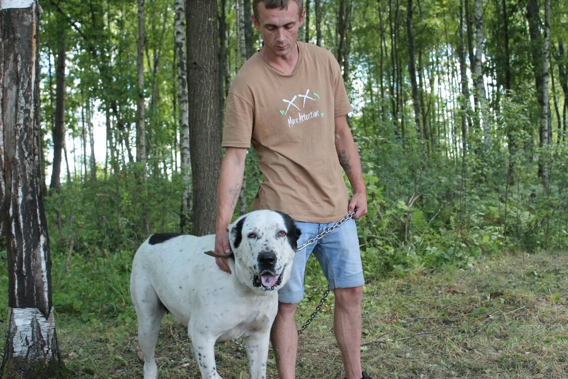 ���������� �����, ���� ������� �����, 32 ����, ������������ ��� ������, ����� � ���������