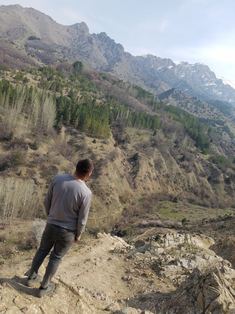 ���� 19353165 ������� Aziz, 31 ���, ���� ���������� � ��������