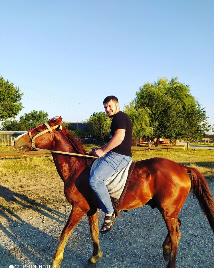 ���� 26322095 ������� ��������, 28 ���, ���� ���������� � �������