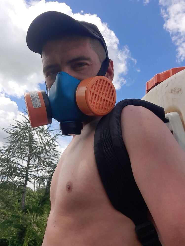 ���������� �����������, ���� ������� ���������, 34 ����, ������������ ��� ������, ����� � ���������, c�������� ���������