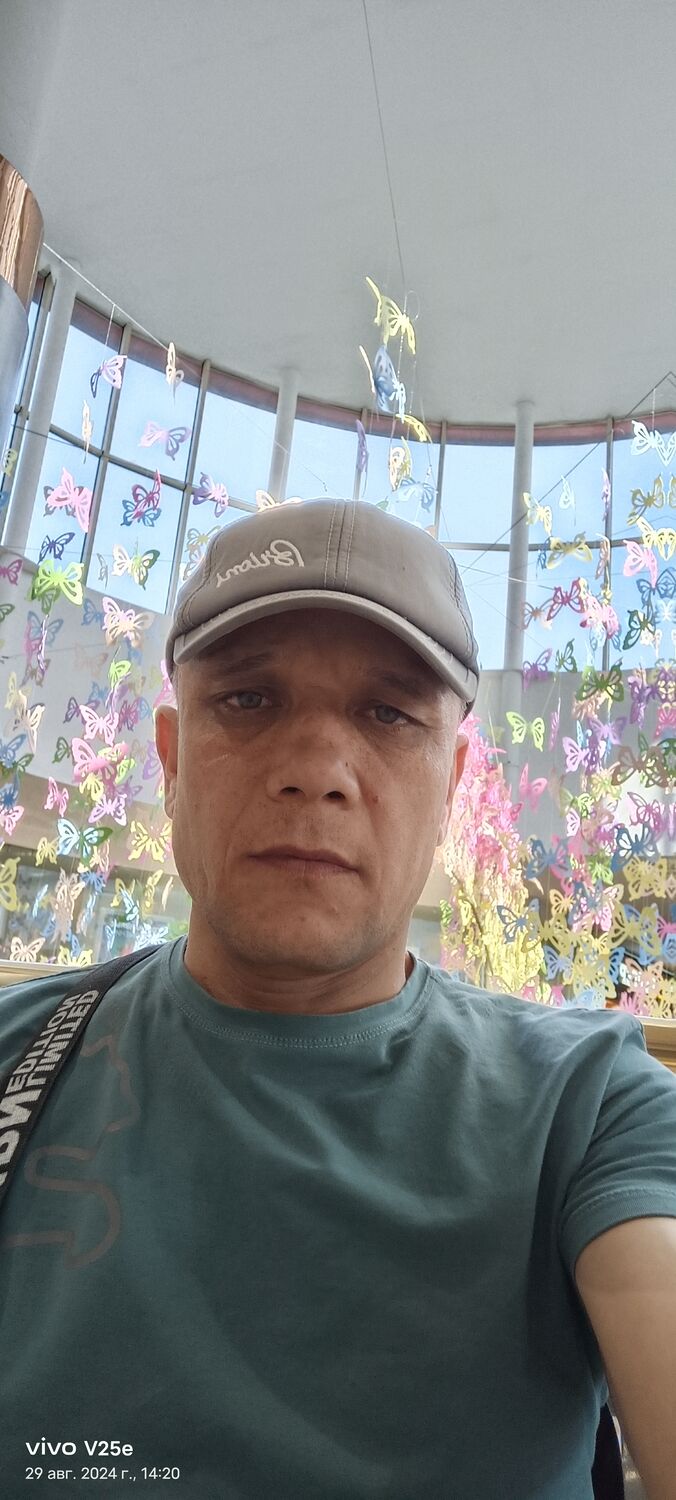 45848555  , 44 ,    