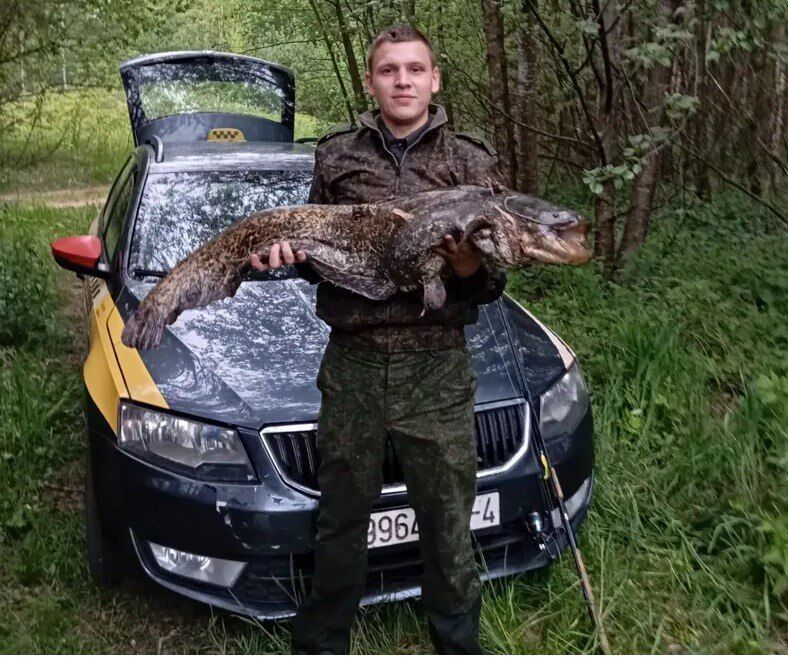  ,   , 24 ,   ,   , c , 