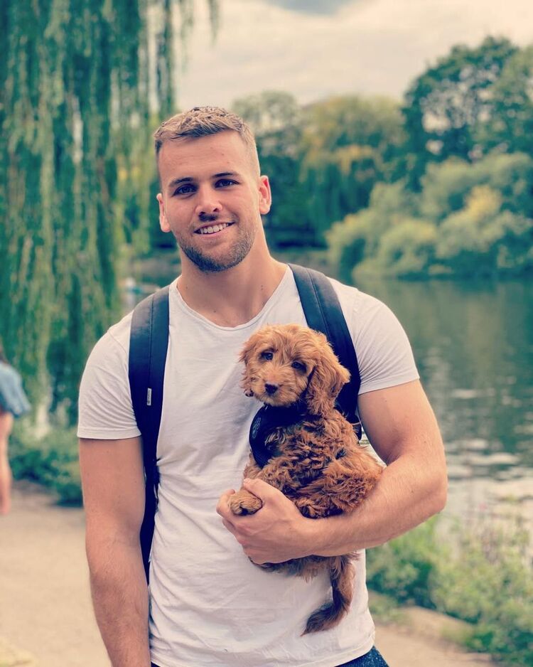 ���������� ���������, ���� ������� ������, 36 ���, ������������ ��� ������