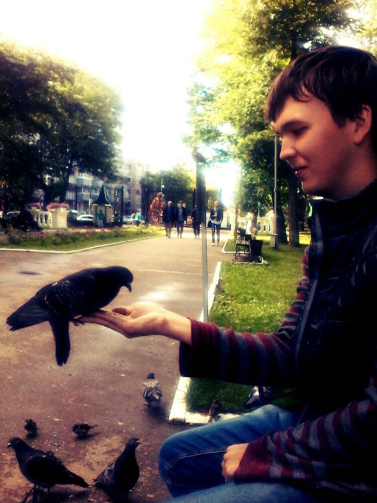 ���������� �����, ���� ������� ���������, 32 ����, ������������ ��� ������, ����� � ���������, c�������� ���������