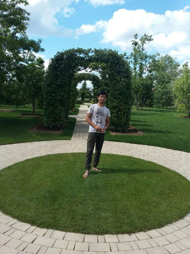 ���� 20658005 ������� �������, 31 ���, ���� ���������� � ������