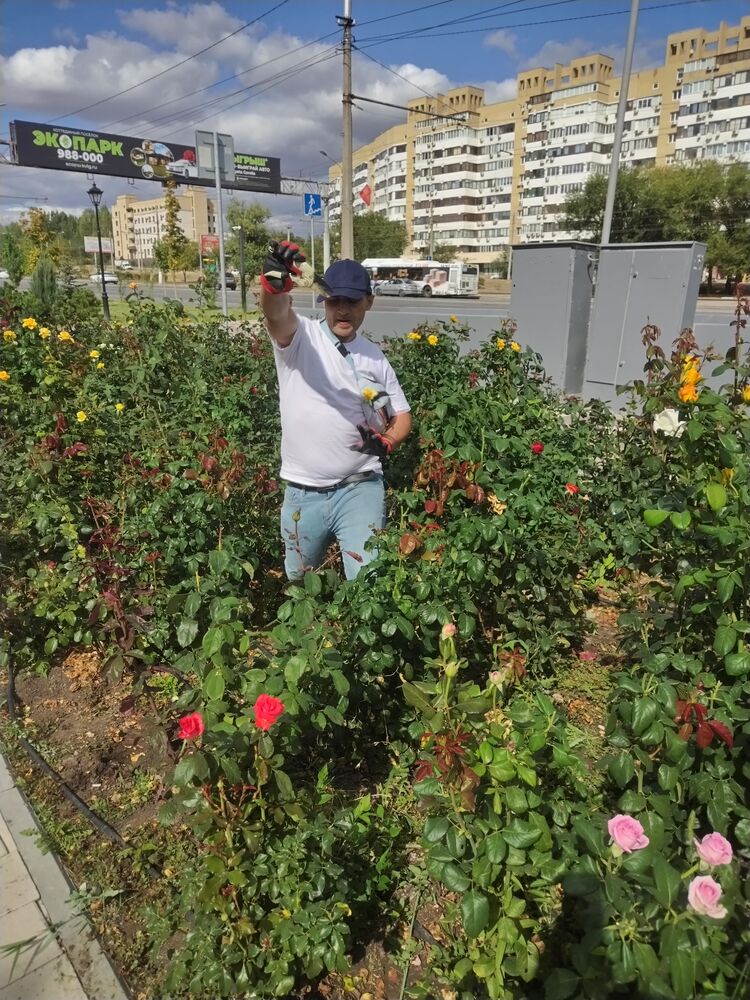 ���� 38675725 ������� ��� ���, 45 ���, ���� ���������� � ����������