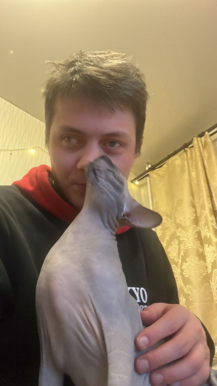  ,   , 38 ,   ,   